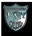 logo_crihl3_100.png