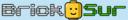 bricksur.jpg