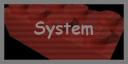 System