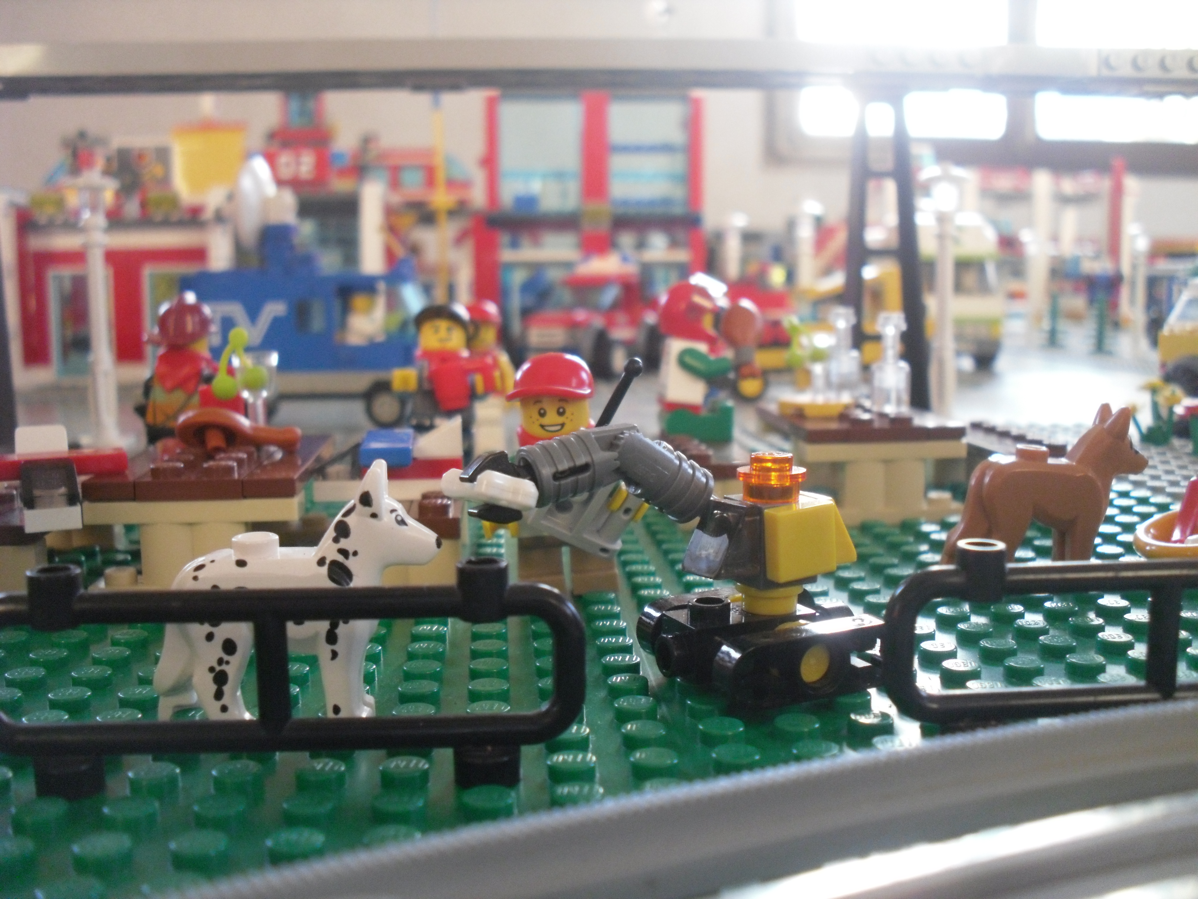 sdc11147.jpg
