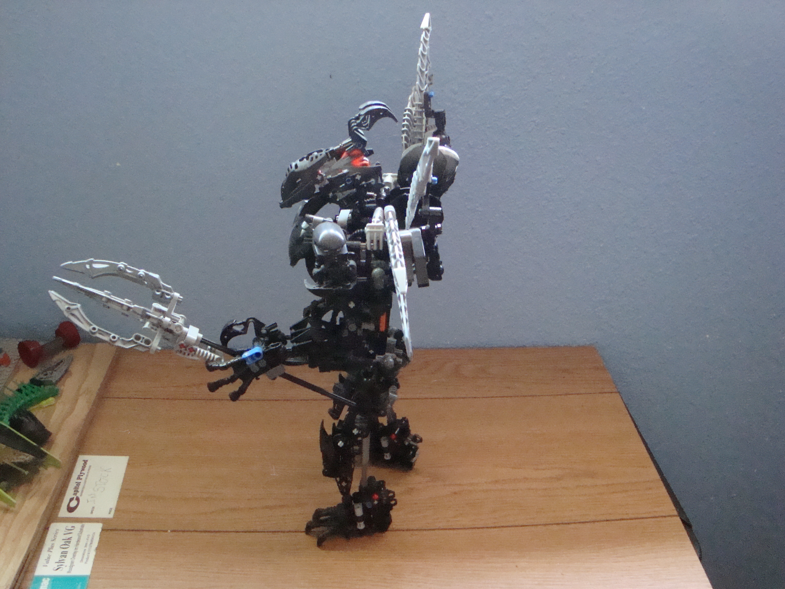 makuta_tuyet_side_view.jpg