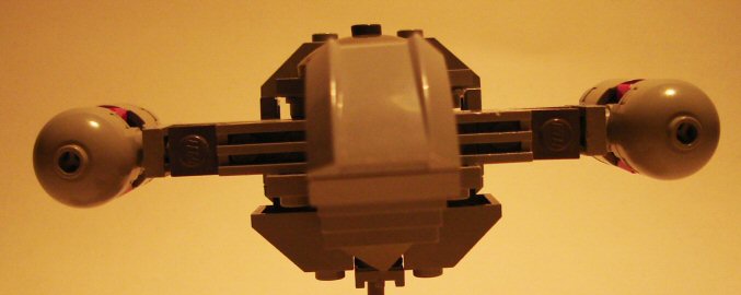 firefly02.jpg