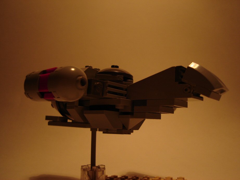 firefly03.jpg