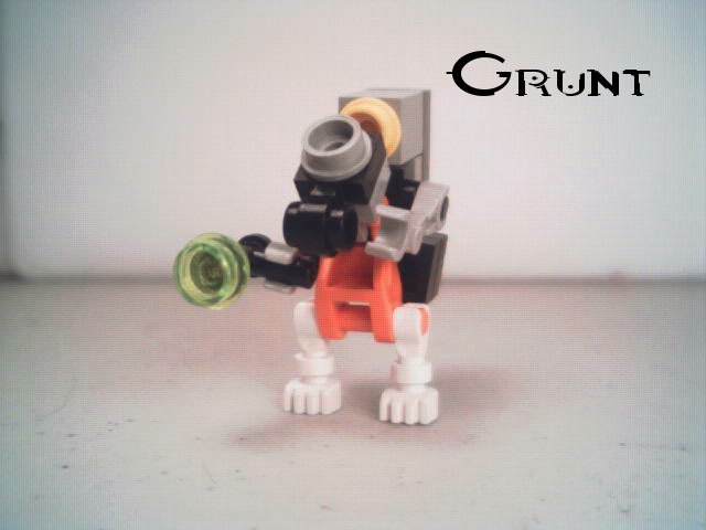 grunt1.jpg