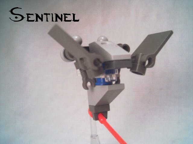 sentinel01.jpg