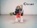 grunt1.jpg