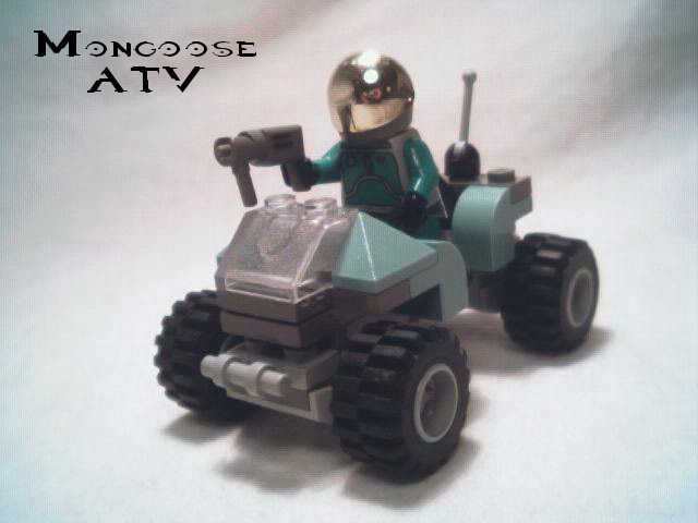 mongoose1.jpg