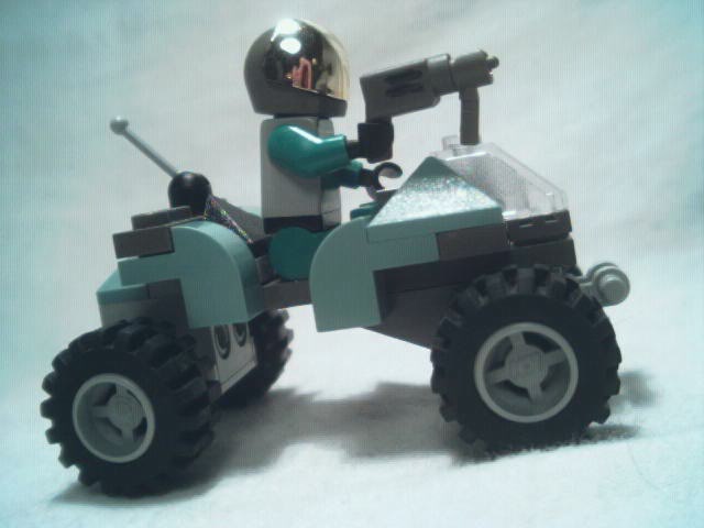mongoose3.jpg