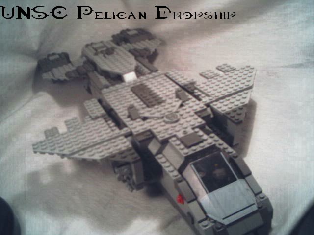 pelican01.jpg