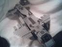 pelican04.jpg