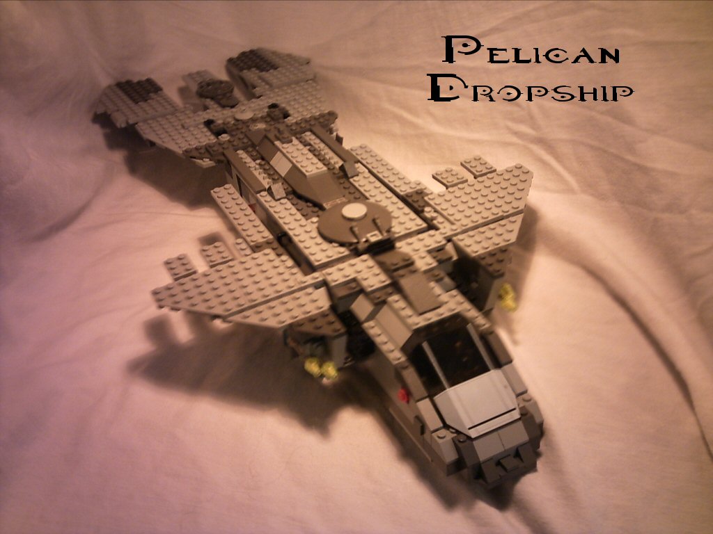 pelican01.jpg
