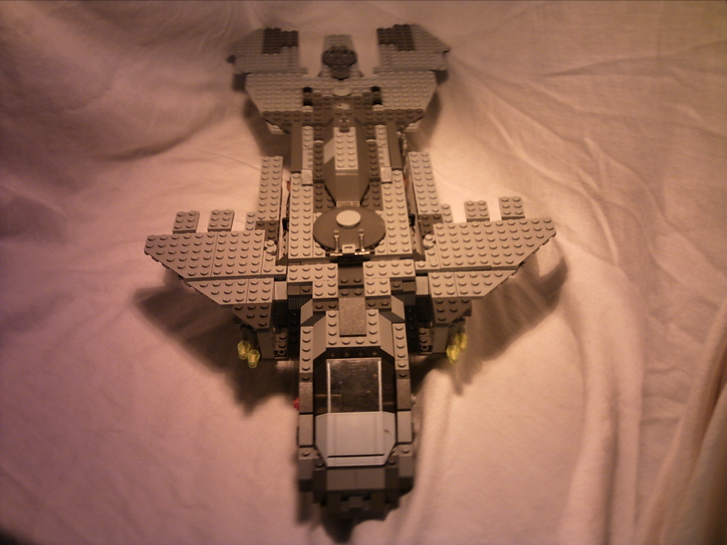 pelican02.jpg