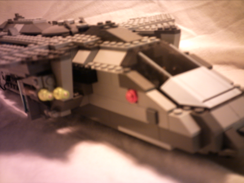 pelican03.jpg