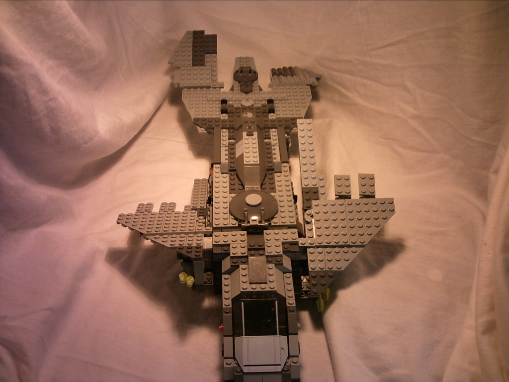 pelican06.jpg