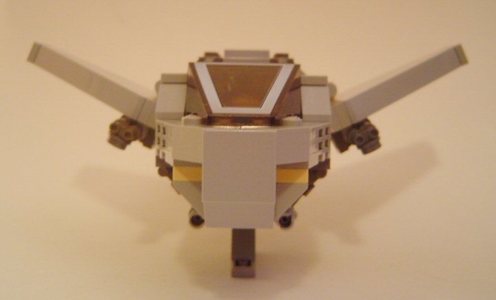 beagle03.jpg