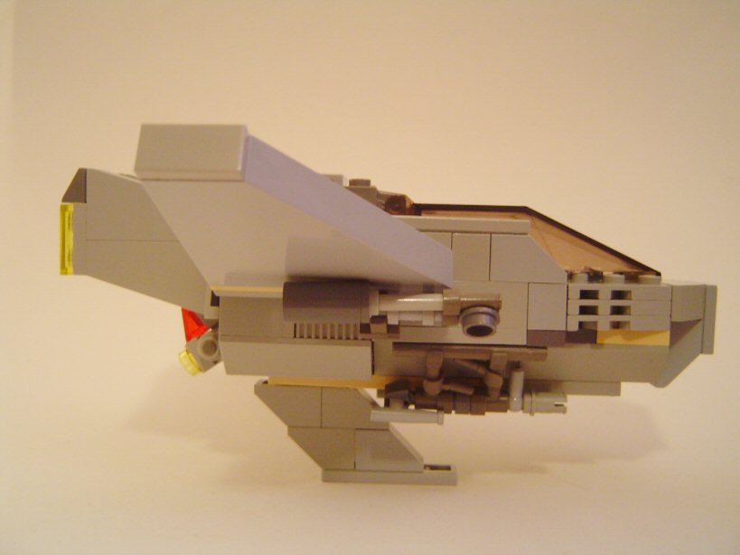 beagle04.jpg