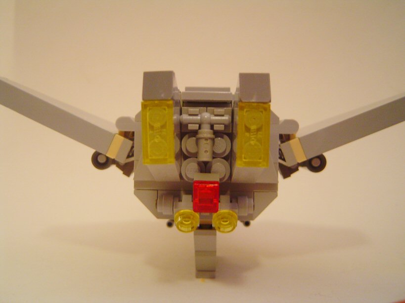 beagle05.jpg