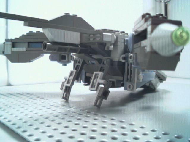 pterox03.jpg