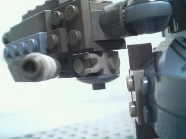 pterox06.jpg
