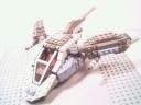 pterox01.jpg