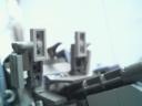 pterox08.jpg