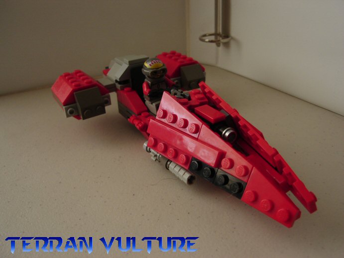 vulture01.jpg