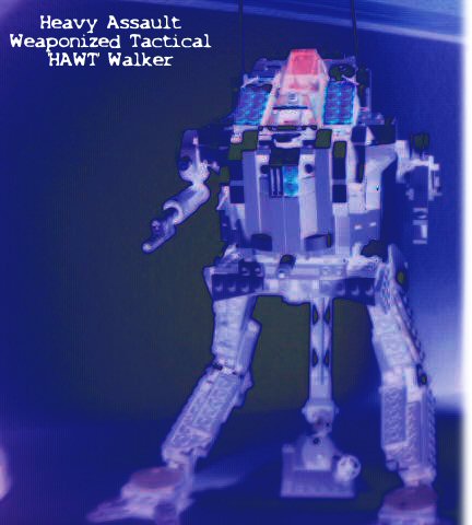 hawt00.jpg