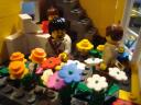 dsc03502.jpg