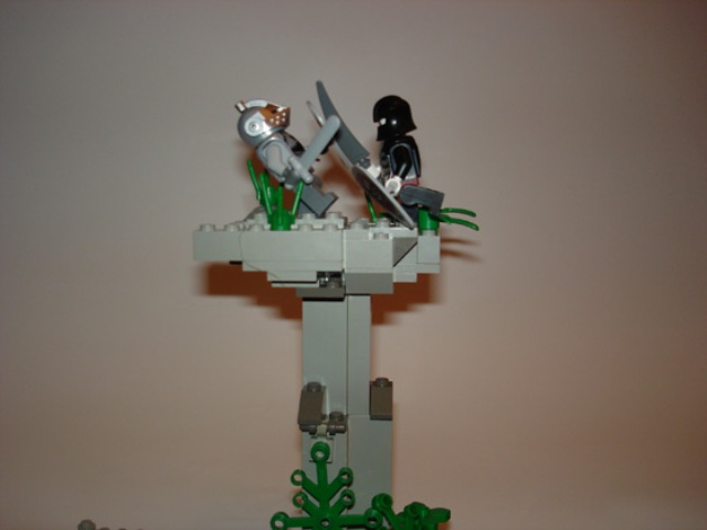 dsc04423.jpg