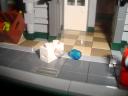 dsc07953.jpg