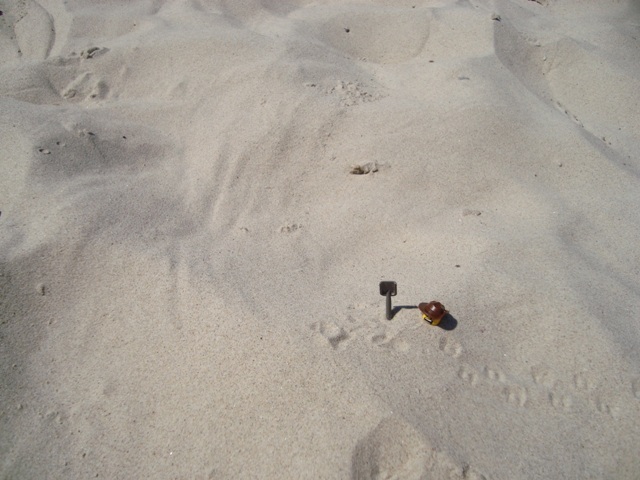 dsc02811.jpg