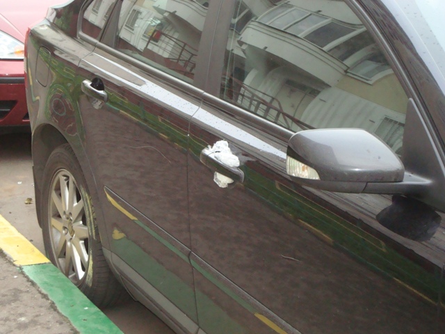 dsc03901.jpg