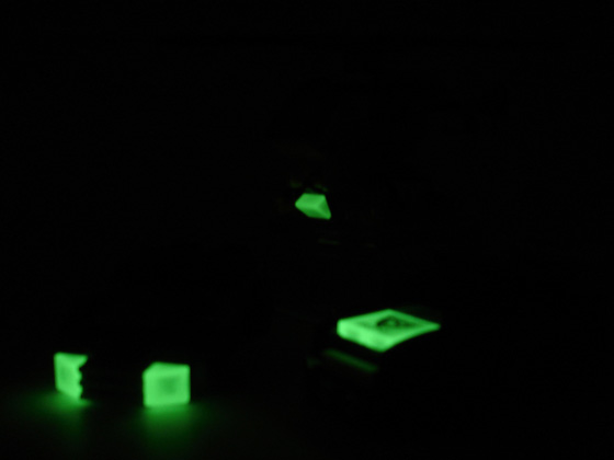 dsc04730.jpg