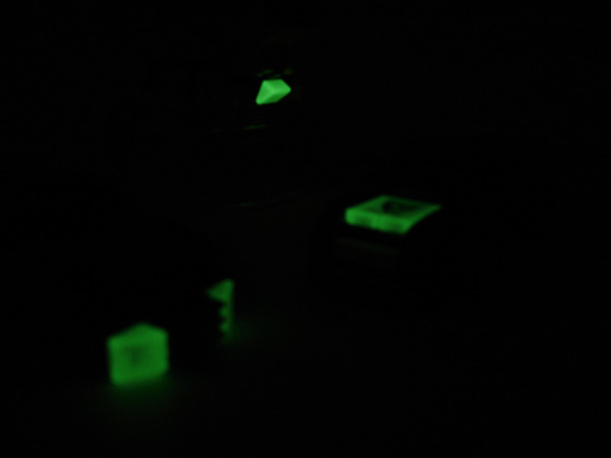 dsc04731.jpg