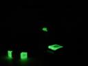 dsc04730.jpg