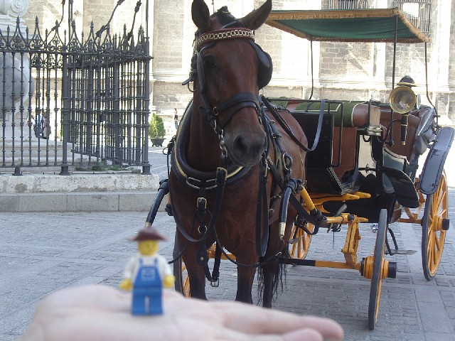 imgp6444.jpg