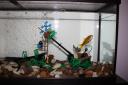 Aquarium