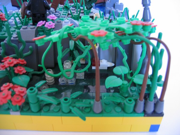 jungle.jpg
