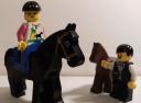 horseponyminifig.jpg