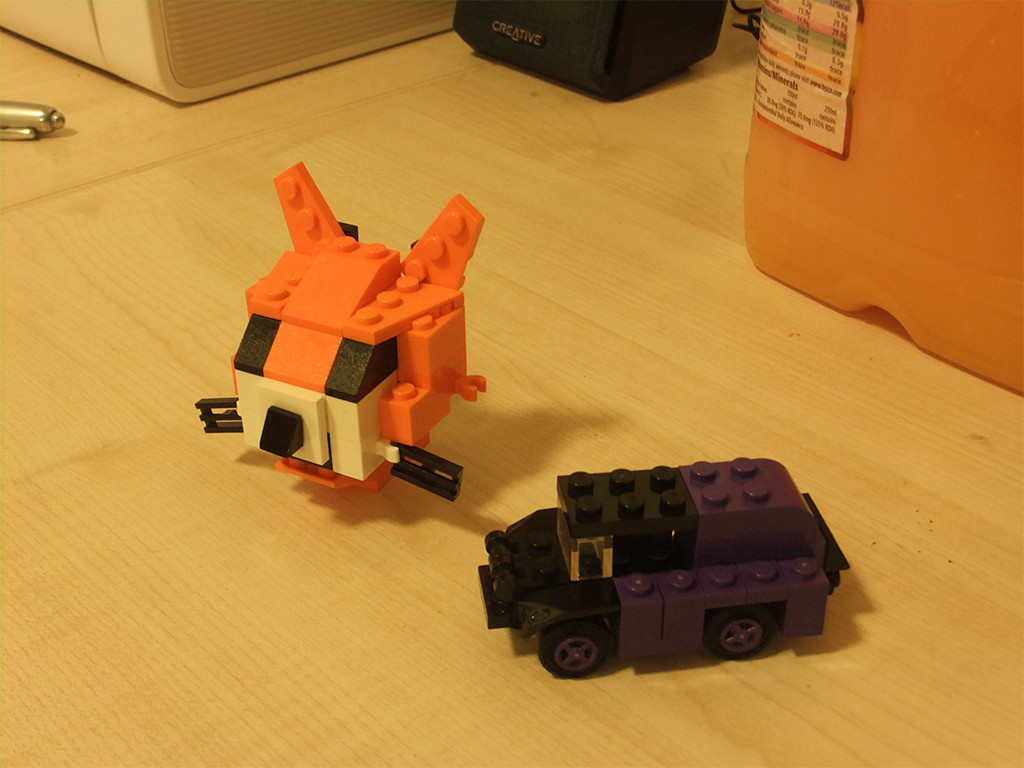 catandcar001.jpg