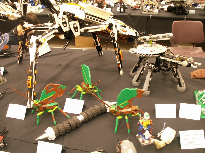 pict0782.jpg