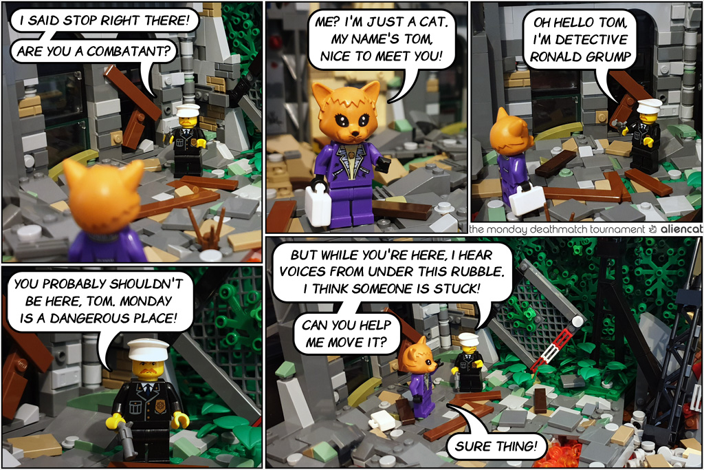 page37-web.jpg