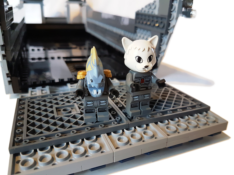 cat1303.jpg