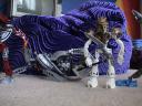 dsc08845.jpg