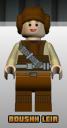 boushh_leia.bmp