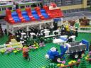 img_6145.jpg