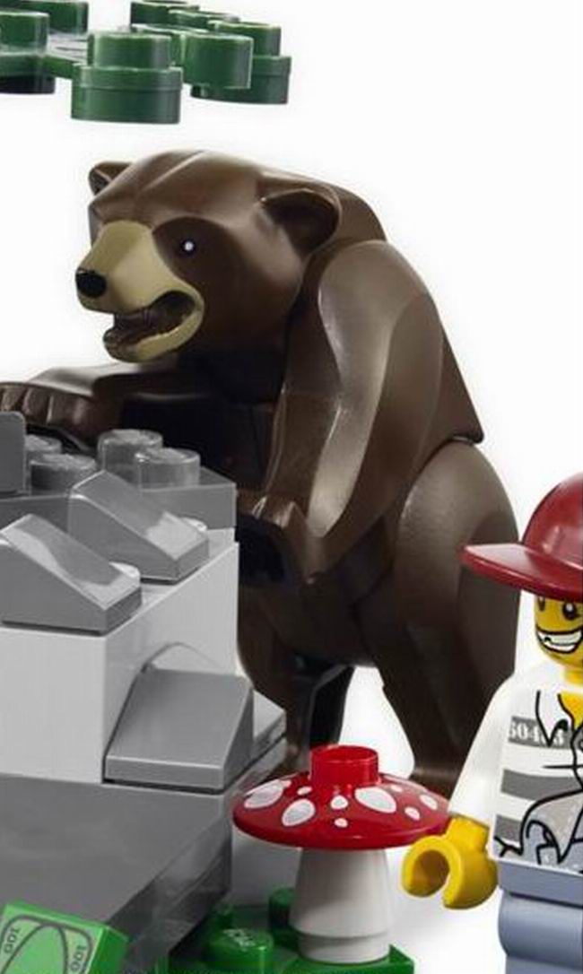 bear.jpg