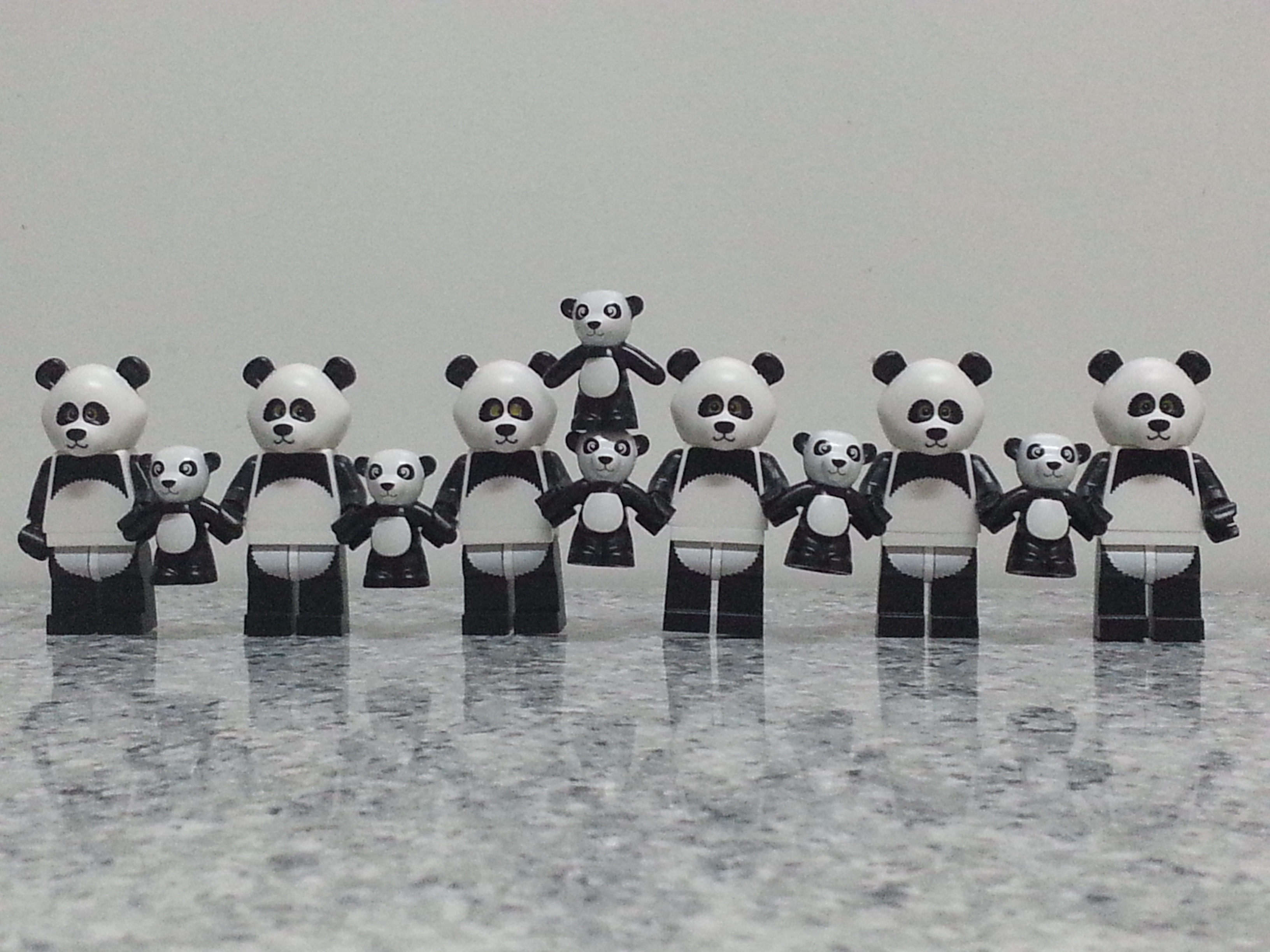 pandas.jpg