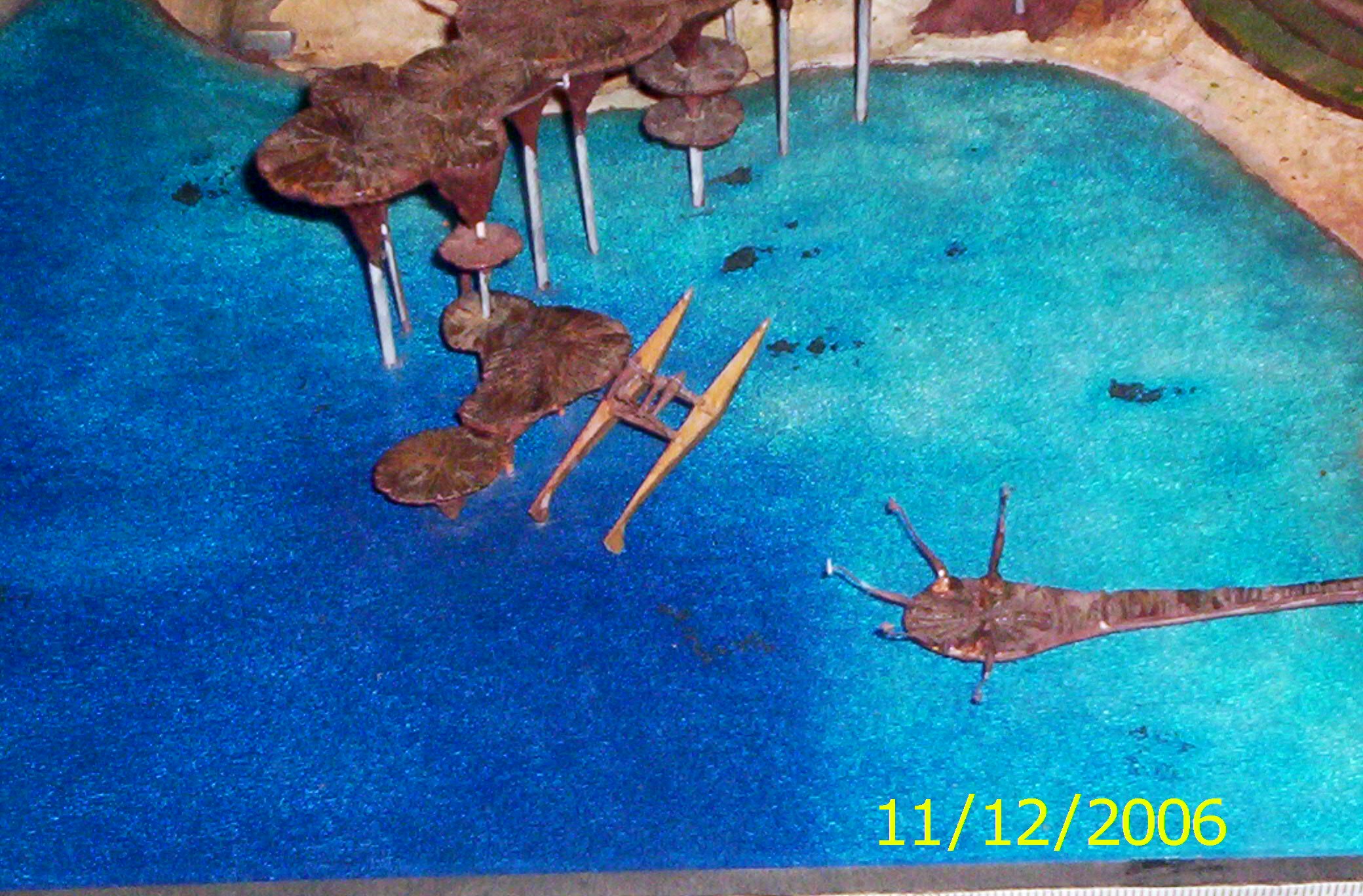 101_9801.jpg