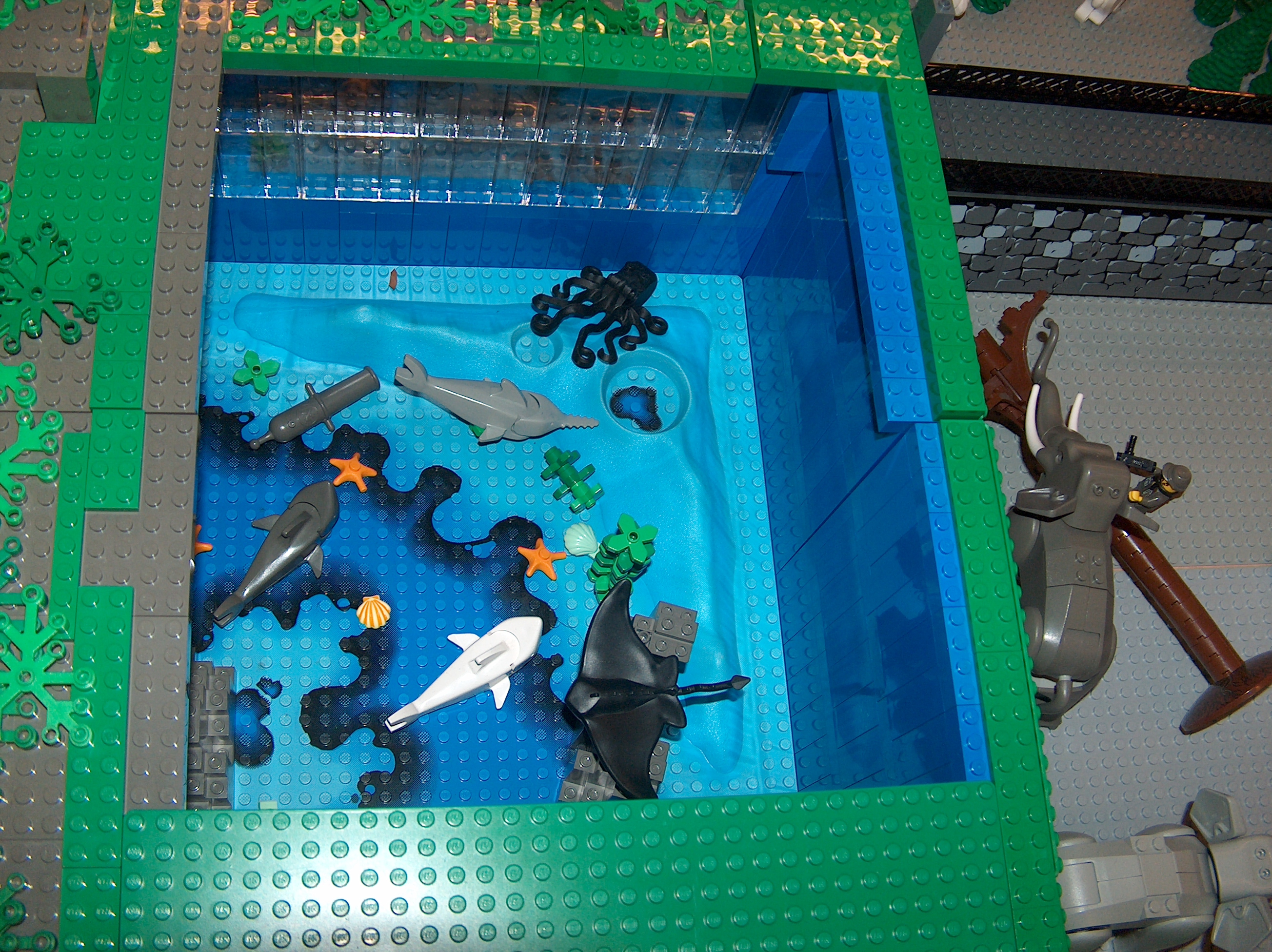 102.jpg